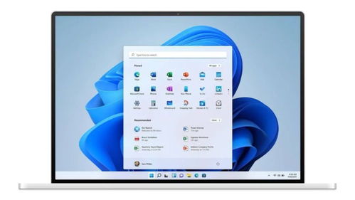 开发一款检测电脑硬件是否兼容Windows 11的软件指南